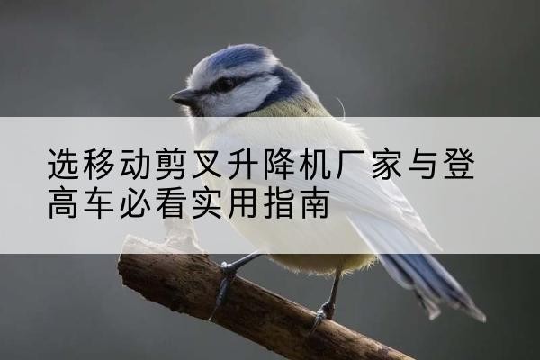 珠晖电动升降机厂家-选移动剪叉升降机厂家与登高车必看实用指南