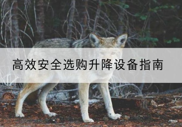 珠晖升降货梯厂家推荐-*安全选购升降设备指南