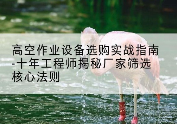 珠晖剪叉式升降机厂家-高空作业设备选购实战指南-十年工程师揭秘厂家筛选核心法则